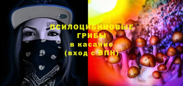 прущие крисы Михайлов
